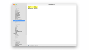 check-memory-details